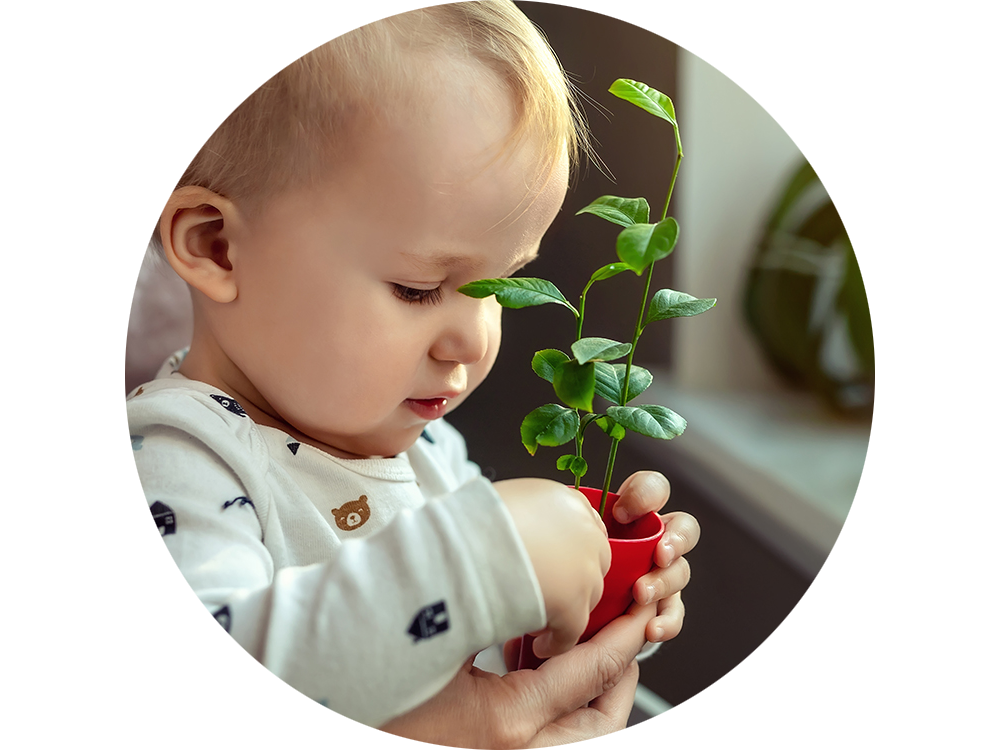 Kleinkind, dass eine kleine Pflanze in der Hand hält und in dessen roten Topf greift.