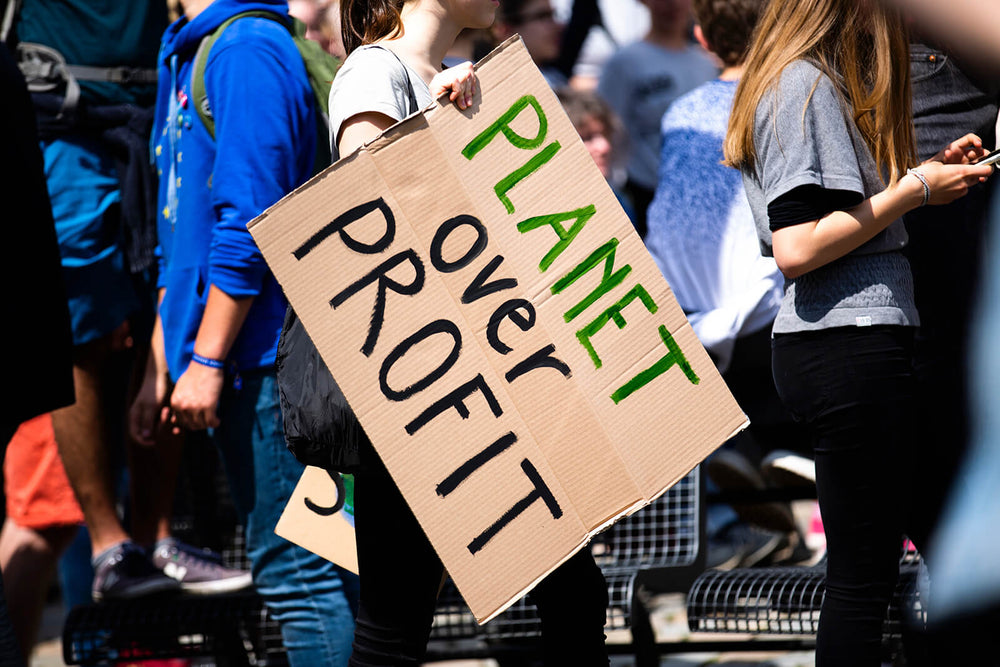 Fridays for Future Protest mit Schild "Planet over Profit"